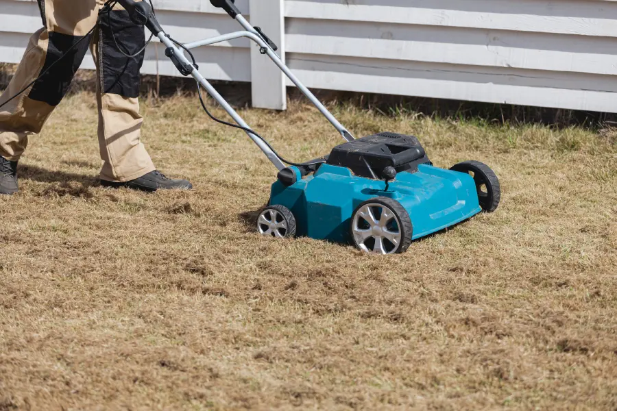 Dependable Lawn Dethatching Service in Markham, IL Dependable Lawn Dethatching Service in Markham, IL