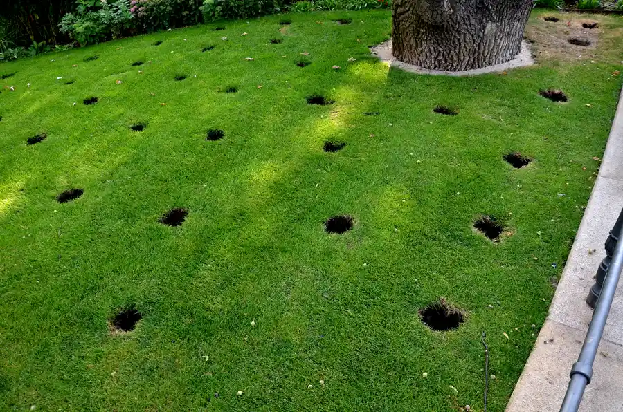 Expert Lawn Aeration Markham, IL Expert Lawn Aeration Markham, IL