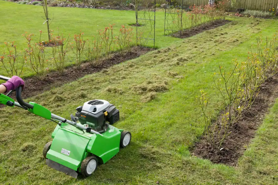 How Lawn Dethatching Improves Grass Health and Growth in Markham, IL How Lawn Dethatching Improves Grass Health and Growth in Markham, IL