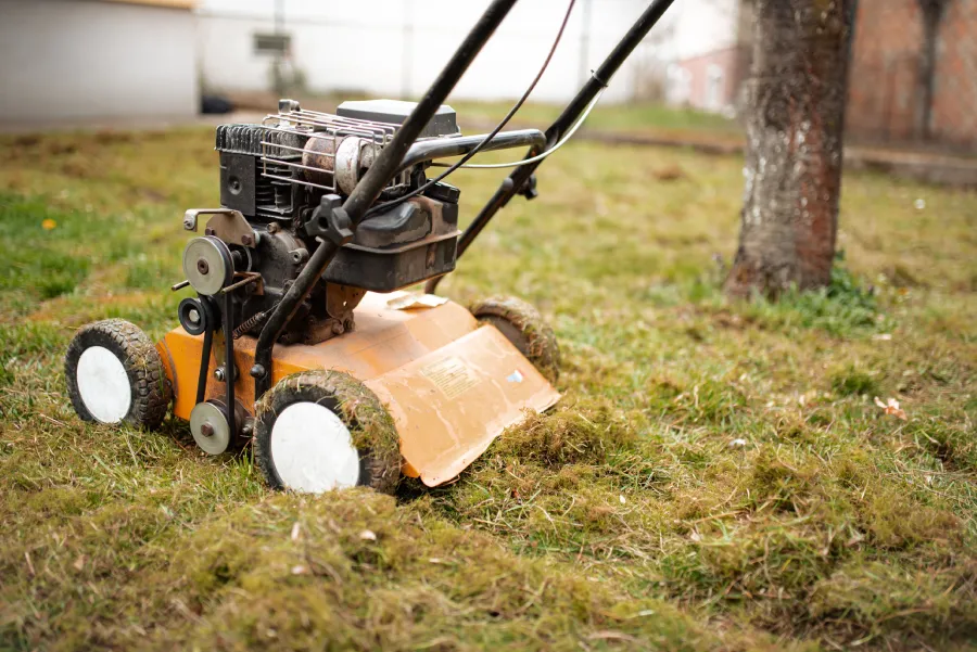Professional Lawn Dethatching Service in Markham, IL Professional Lawn Dethatching Service in Markham, IL