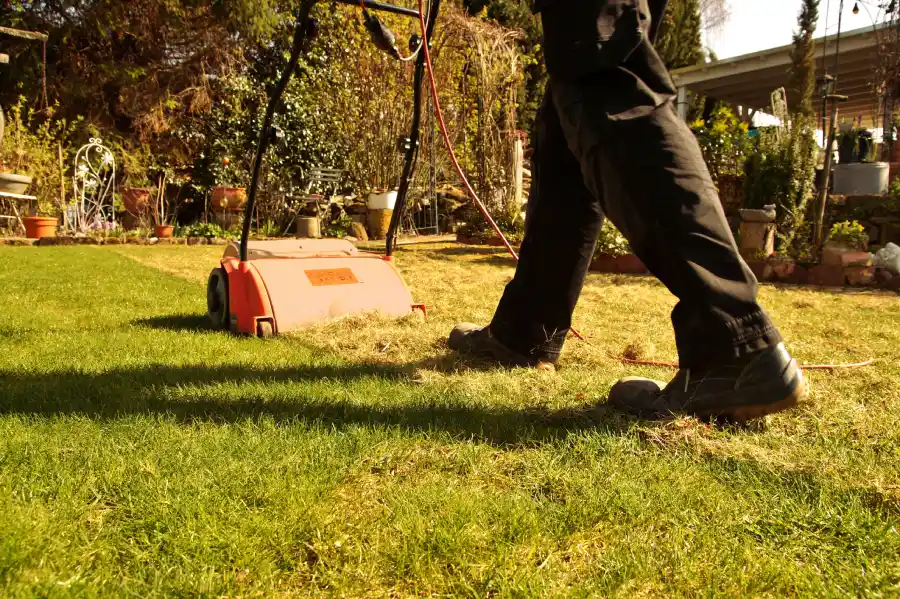 Reliable Lawn Dethatching Service in Markham, IL Reliable Lawn Dethatching Service in Markham, IL