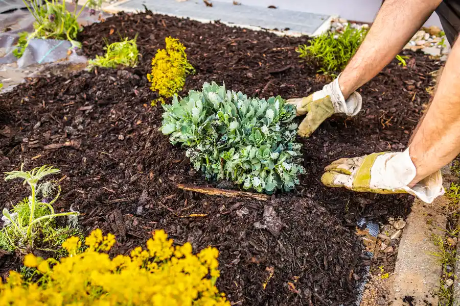 Reliable Mulching Markham, IL Reliable Mulching Markham, IL