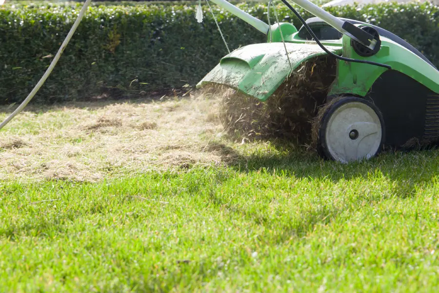 Signs Your Lawn Needs Professional Dethatching Service in Markham, IL Signs Your Lawn Needs Professional Dethatching Service in Markham, IL