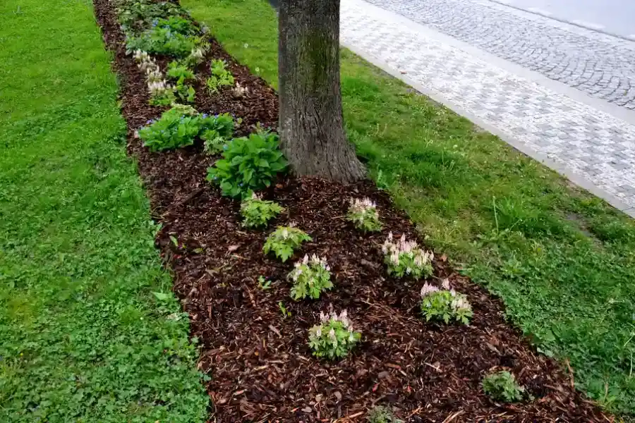 Top-rated Mulching Markham, IL Top-rated Mulching Markham, IL